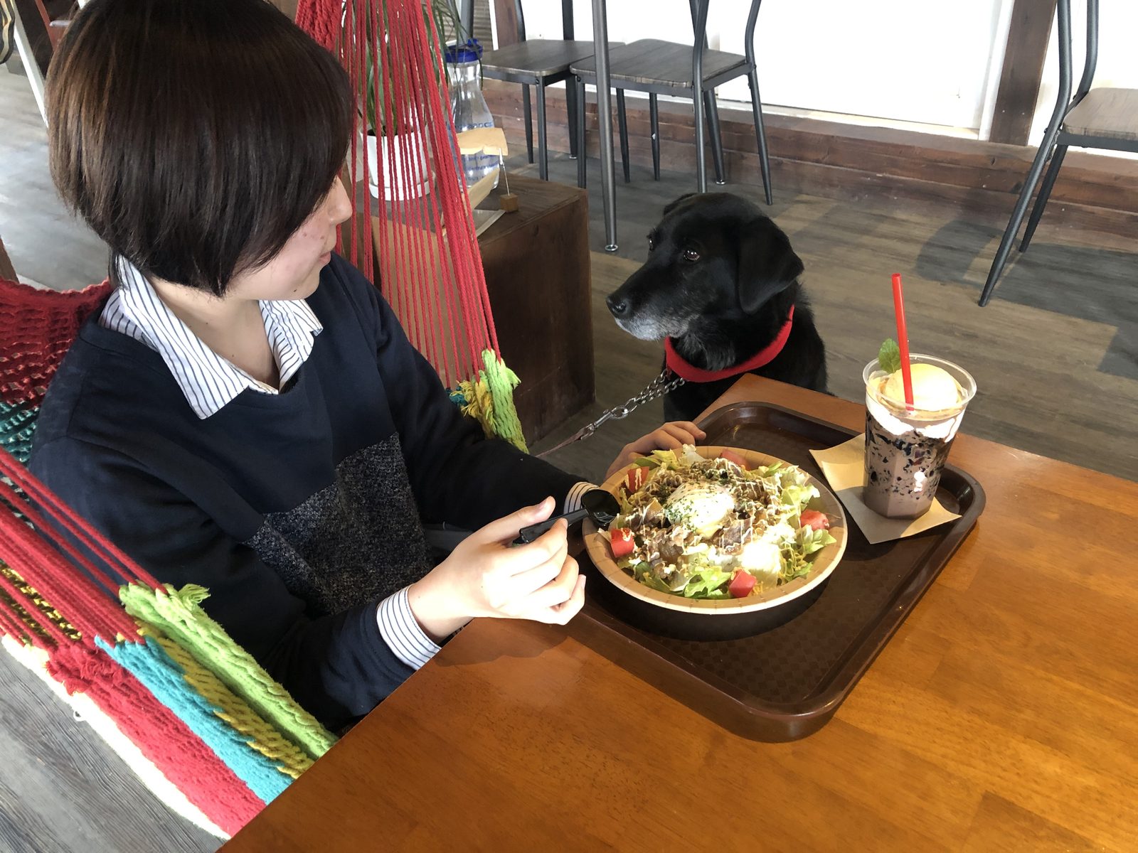 ハンモック席で食事をする女性と、となりで待つ黒いラブラドール