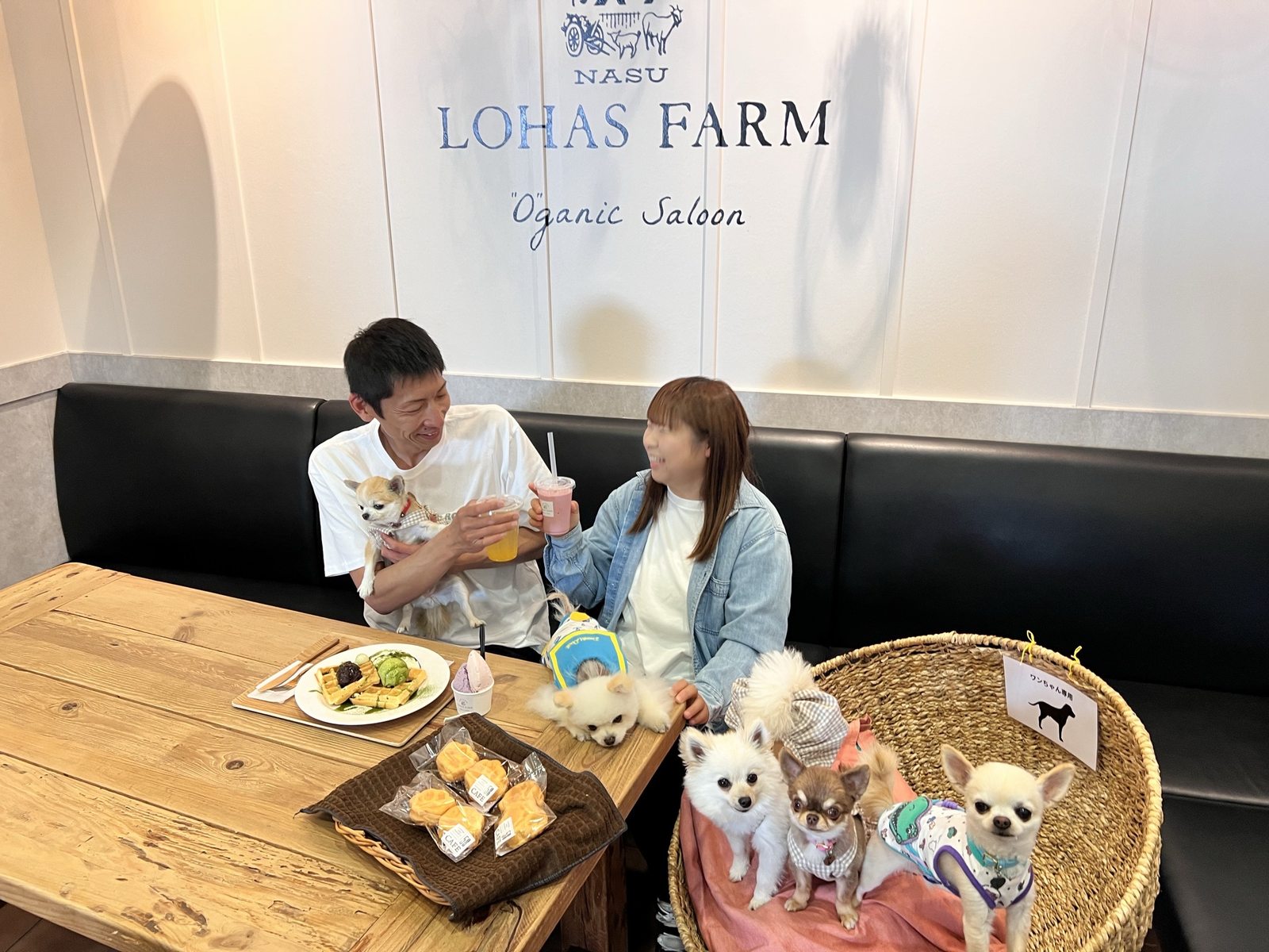 「LOHAS FARM Organic Saloon」の壁の前で、愛犬たちとスイーツを楽しむ2人