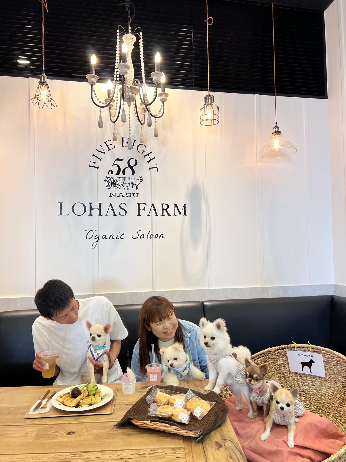 シャンデリアの下、ワッフルとジェラートを前に愛犬たちと過ごす2人