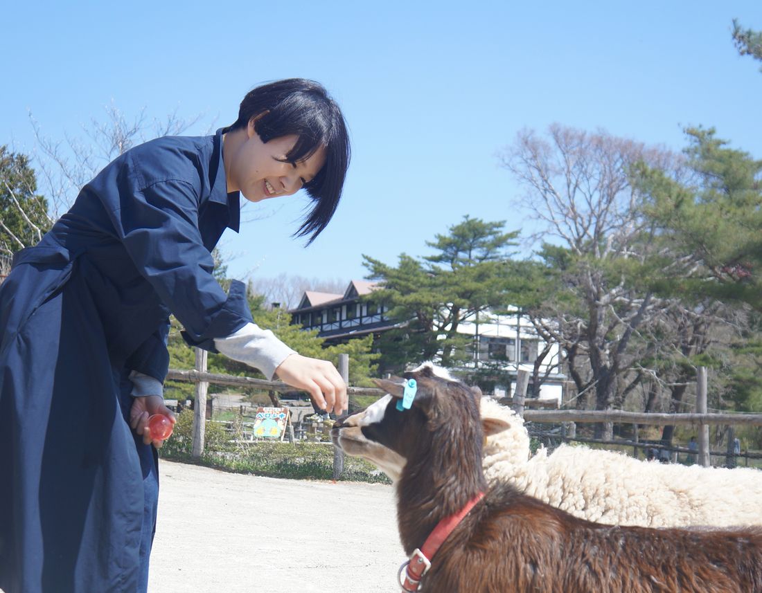 めぇ〜めぇ〜広場でヒツジにエサをあげる女性