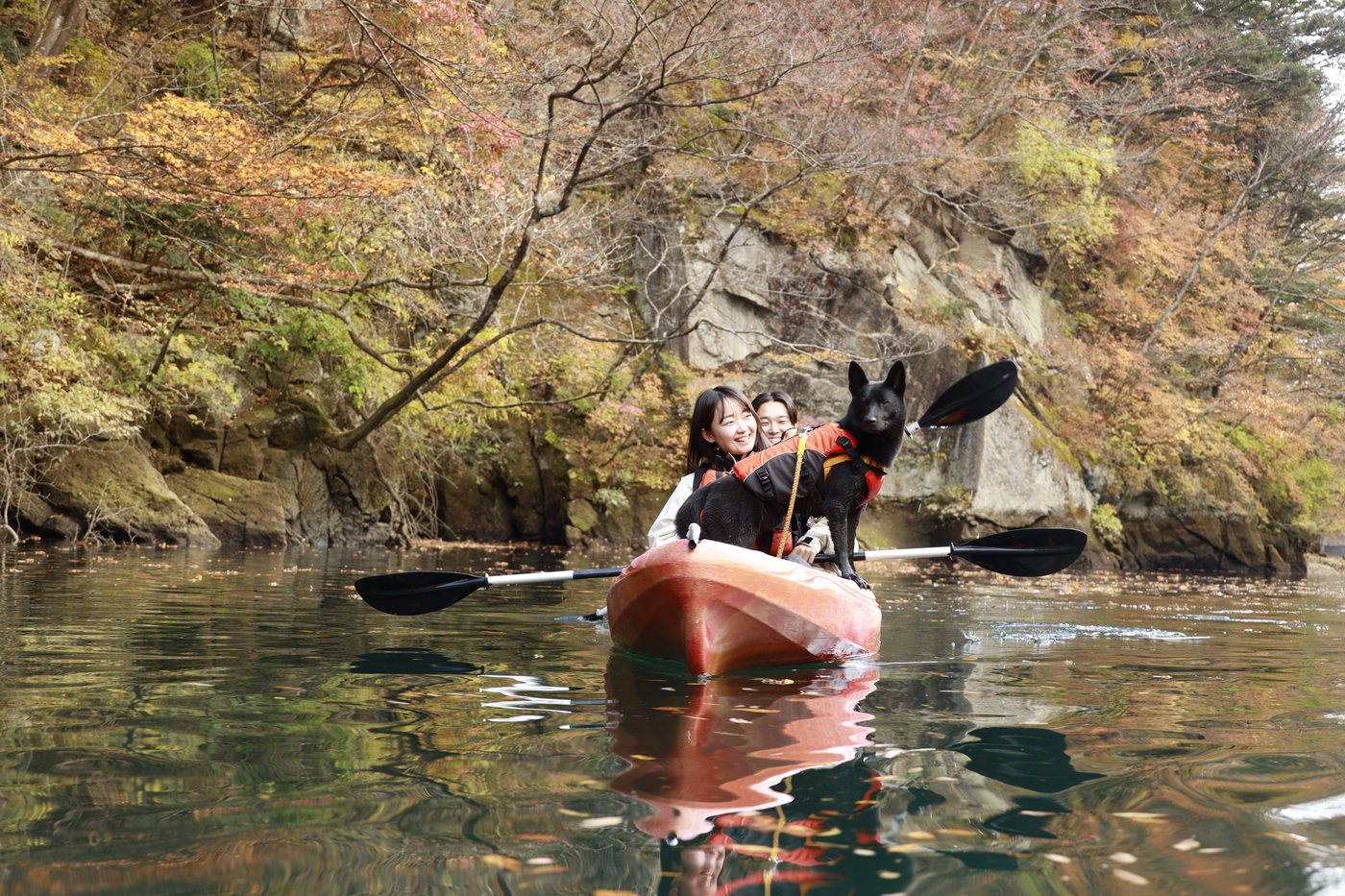 カヌーの舳先に立つ黒い犬と、渓谷の紅葉