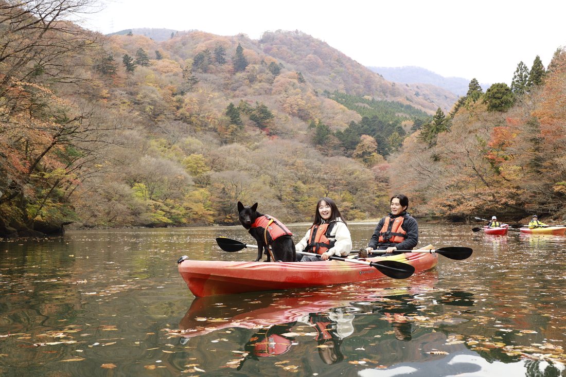 紅葉の山を背に、カヌーの上に立つ黒い犬