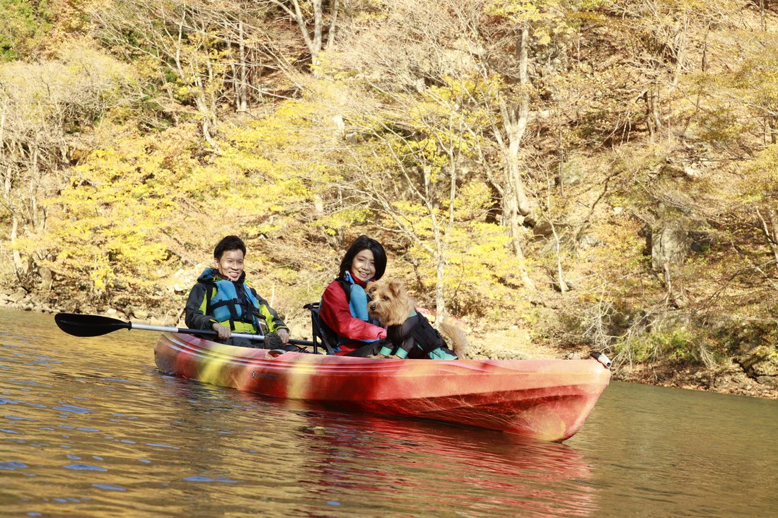 黄葉の岸辺を進むカヌーとテリア