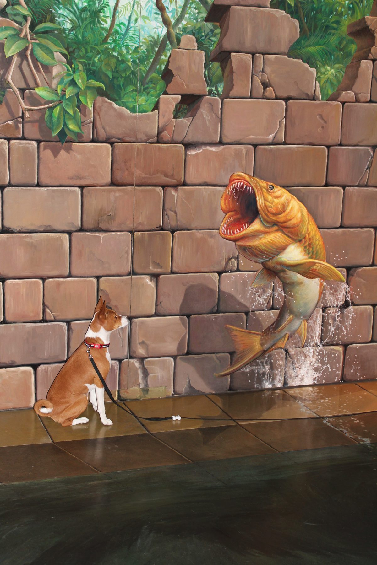 壁画の魚を見上げる愛犬