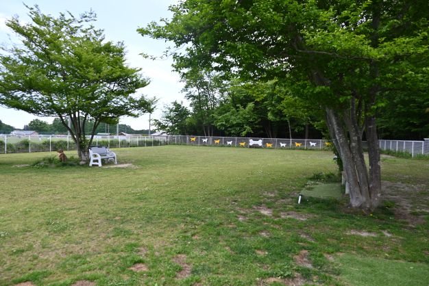 木立に囲まれた約400坪のドッグラン