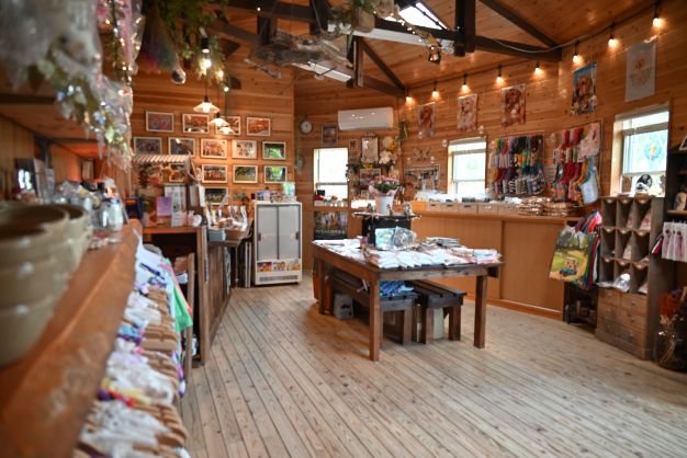 ワン・コレクション 店内に並ぶドッグウェアとグッズ